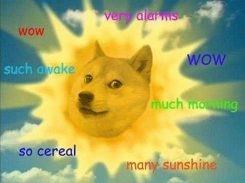 doge6